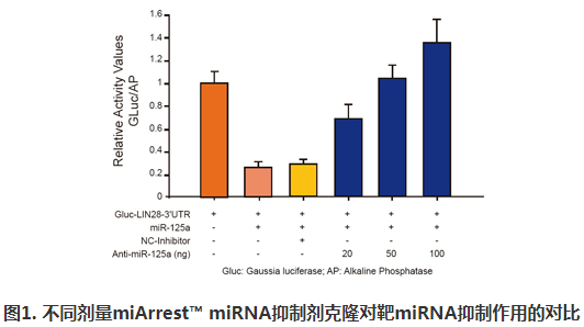 miArrest? miRNA抑制剂